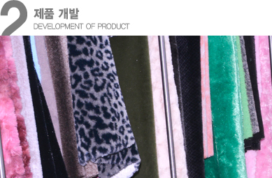 Development of product