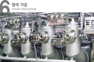 Dyeing processing