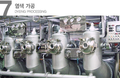 Dyeing processing